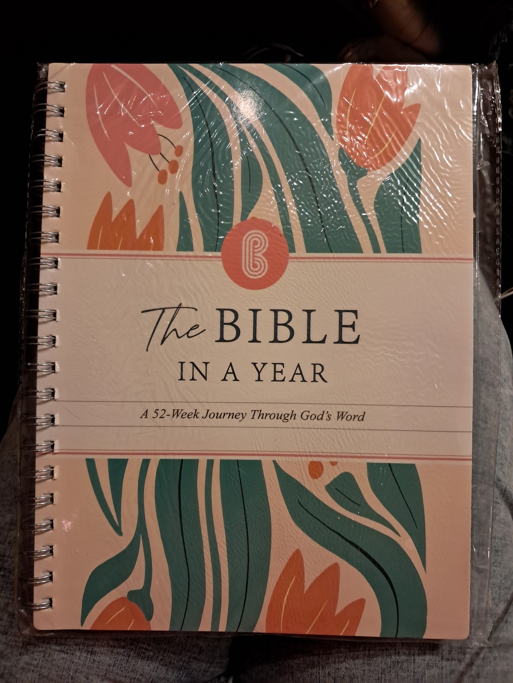 The Bible In A Year Spiral Journal - Cream, Teal & Orange
